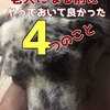 老犬になる前にやっておいて良かった4つのこと