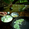 この葉っぱ食える？バックパックでハンモックソロin裏山