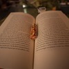 【2025年5月版】今一番売れているミステリー小説ランキングTOP10｜謎が謎を呼ぶ、極上の没入体験。