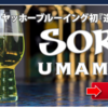 ヤッホーブルーイング SORRY UMAMI IPA