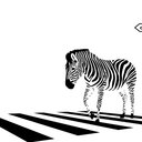 Zebra Crossing