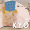 梅体験専門店「蝶矢」京都店で梅シロップ＆梅酒作り体験をしてきました☆