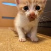 蔵de個展開催予定！