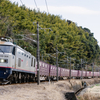 2025/02/08 4093レ EF510 304号機