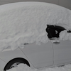 車を雪に埋めることについて