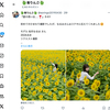 1日1ポスト！ 2024.9.14 その3 ─ なるはちゃん リク撮 2024.8.8 婦中町ひまわり畑 ─