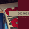 20240530