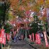 2021 京都の紅葉：紅葉色々その2