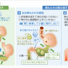 胃もたれについて。