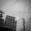 ナガヤに撮ってほしい。