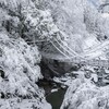 気付けたら幸せかな🥹