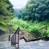 泣かないで