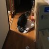 見たな～