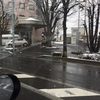 久しぶりの雪