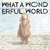 堀込泰行『What A Wonderful World』