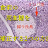 食前の高血糖を補正する方法