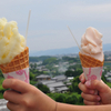 前に行った公園の花を見てきた～長崎県大村市野岳湖公園～