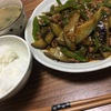 ふるさと納税めし。 麻婆茄子