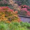 湖東三山　その4