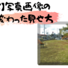 【CSS】写真画像のちょっと変わった見せ方