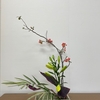 生け花再開