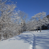 山道散歩　今年の函館は雪多い