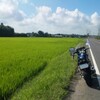 バイクって本当にいいものですね