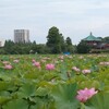毎日暑いぞ2024夏