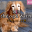 【11月10日版】話題：Withdog創刊２週年、わはにゃを送る日【週刊WD&WC】［2019.11.10］