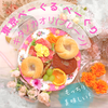 冷凍保存OK！柔らかくて美味しい♡ 東京べーぐる べーぐり　キタノカオリ(プレーン)🥯