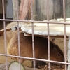 不意に動物園