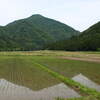 2016年5月19日(木)　ブナの大木が待っている湖北・七七頭ヶ岳へ