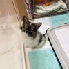 1月3日・つづき✨