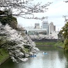 2024年お花見