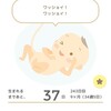 34ｗ5ｄ　夜中2時おきからのブログ開設