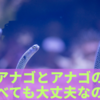 チンアナゴとアナゴの違い、食べても大丈夫なの？