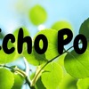 ガジェット初心者にも安心！Echo Popコンパクトスマートスピーカーをご紹介！