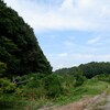 梨街道と神社