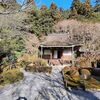 2025 渋谷教育学園渋谷中学校　帰国生入試　作文