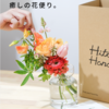 HitoHanaのお花の定期便 初回花瓶プレゼント！色が選べる花のサブスク
