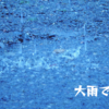 大雨でも授業