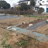 元旦の備忘録