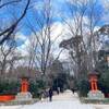 神秘的な糺の森と下鴨神社