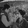 越前竹人形　1963年　大映