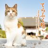 玄関のコンクリートに猫の足跡が付けられた事件（2021年5月・那須の長楽寺）