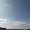 観察日誌オンリー