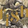 fish - フィッシュ -