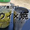 【キャンプ酒DIY】キウィ×焼酎！初夏にぴったり爽やかキウィ酒！！