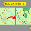 「野鳥のみち」林間コース案内（守谷市で野鳥も観察できるスポット）