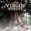 ★Virgin Forest